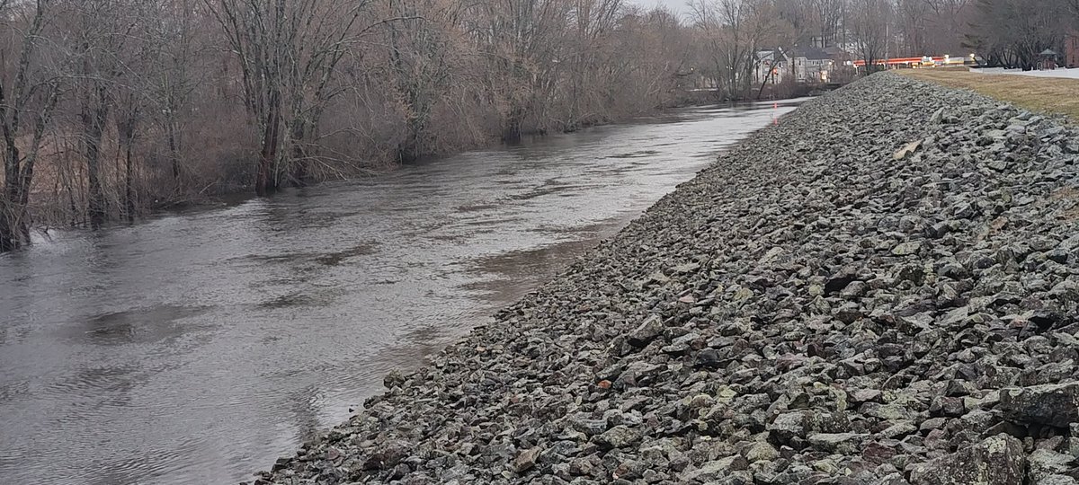 Mechanical Ninja tweet media