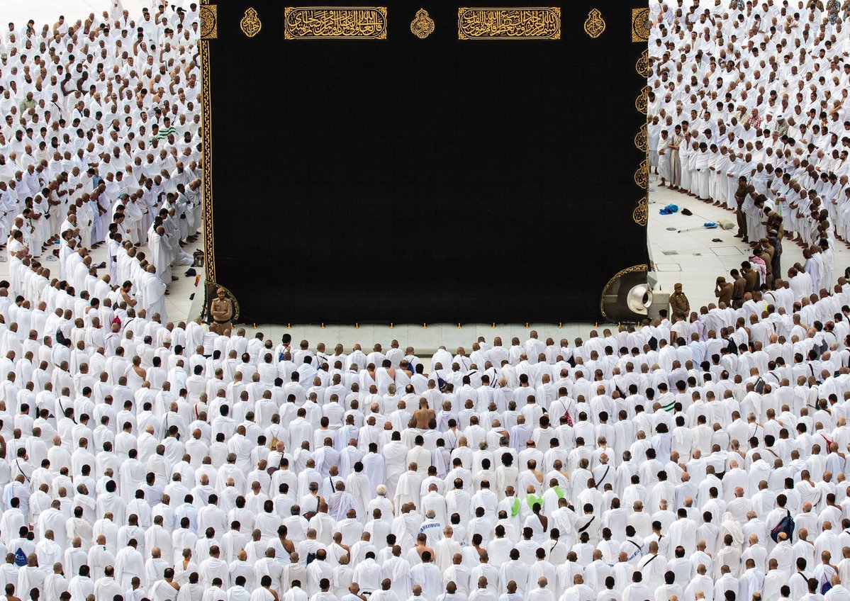 لبيب tweet media