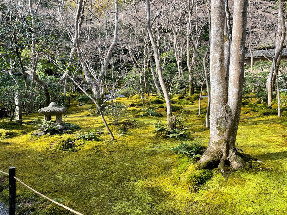 祇王寺 (@giouji_kyoto) / Posts / X
