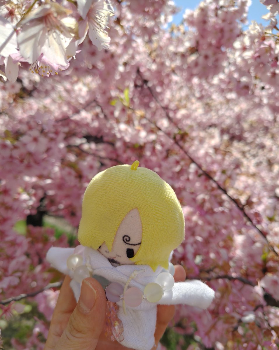 なおこ🎀 tweet media