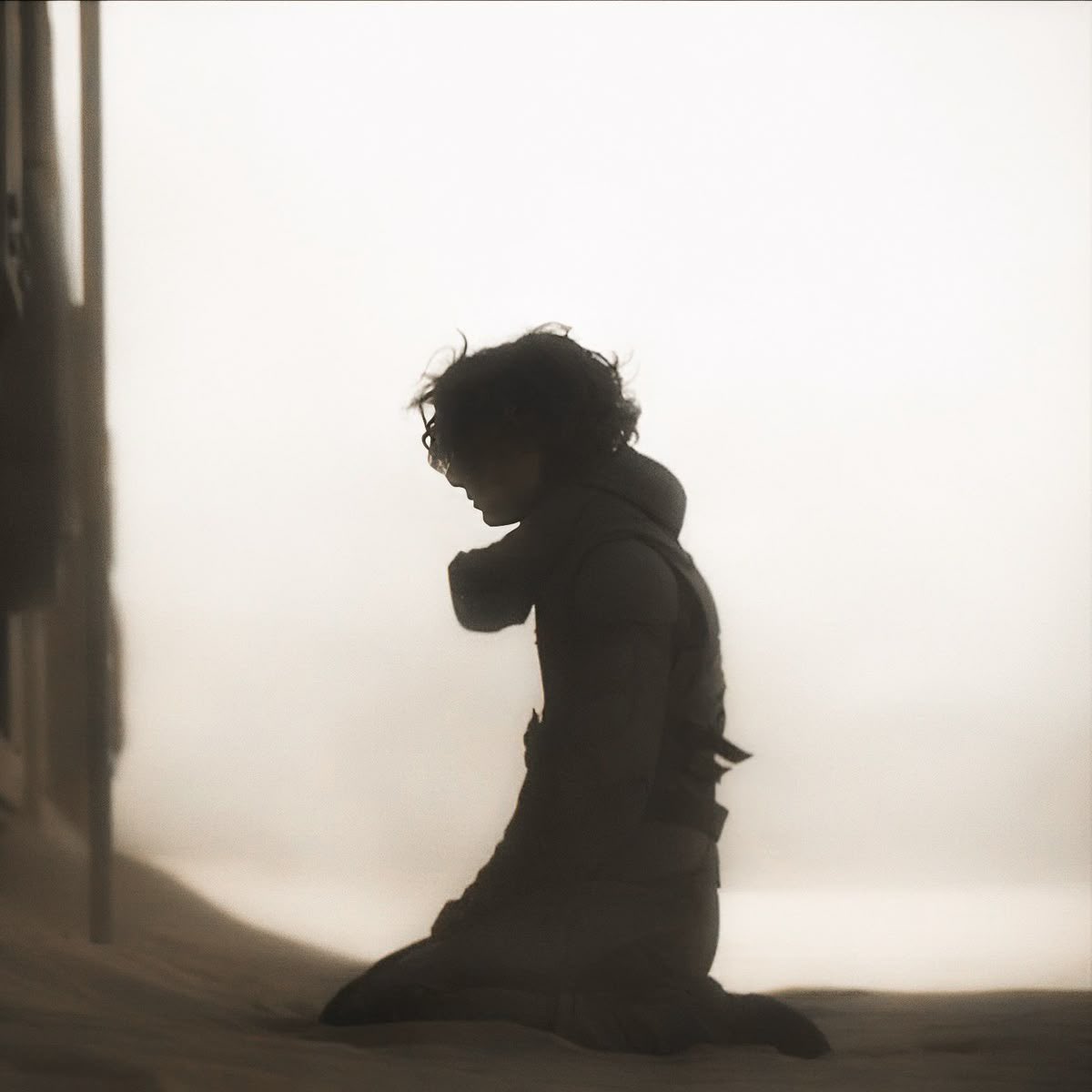 Monster 𒉭 tweet media