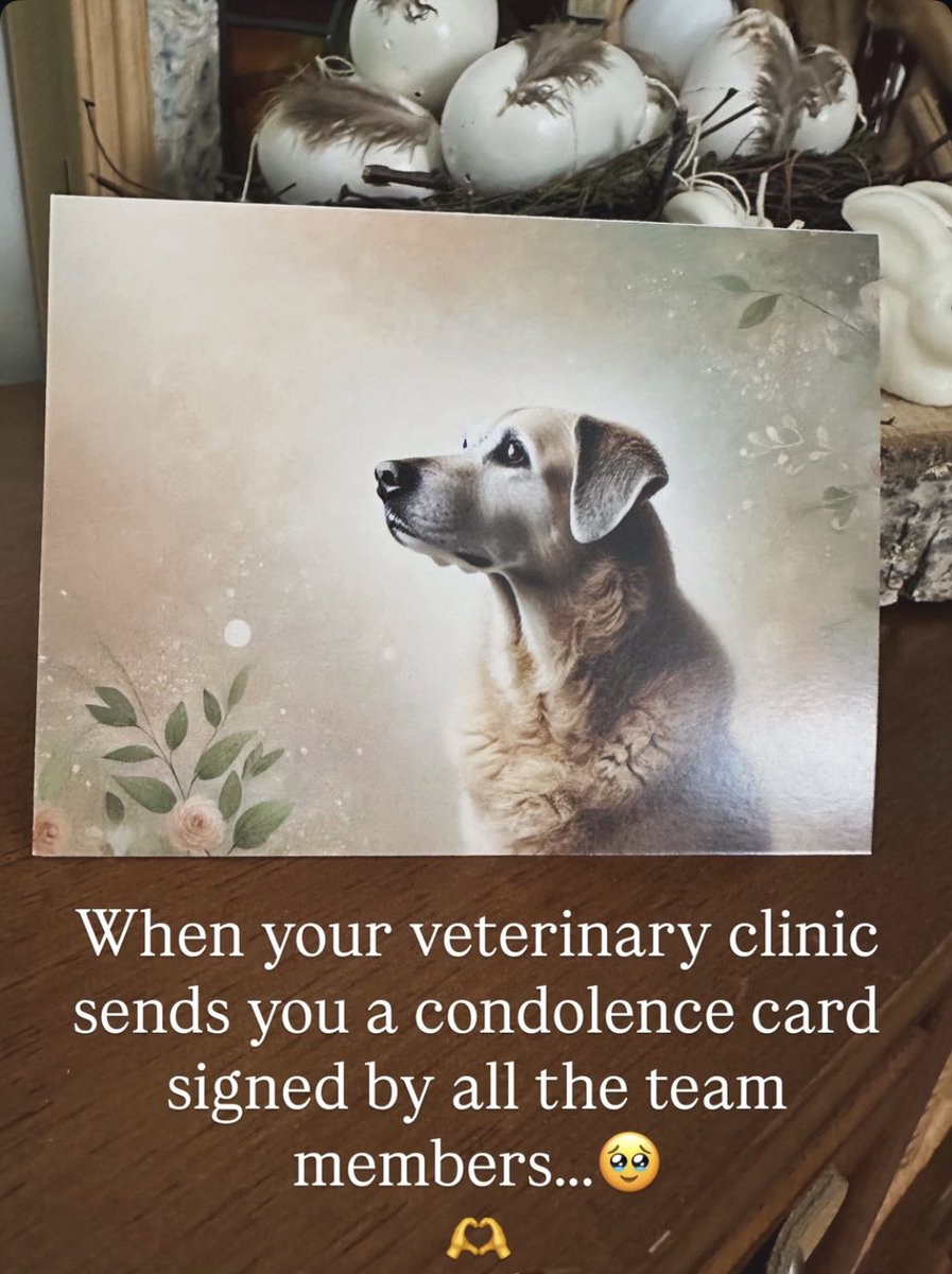 Durdica smith tweet media