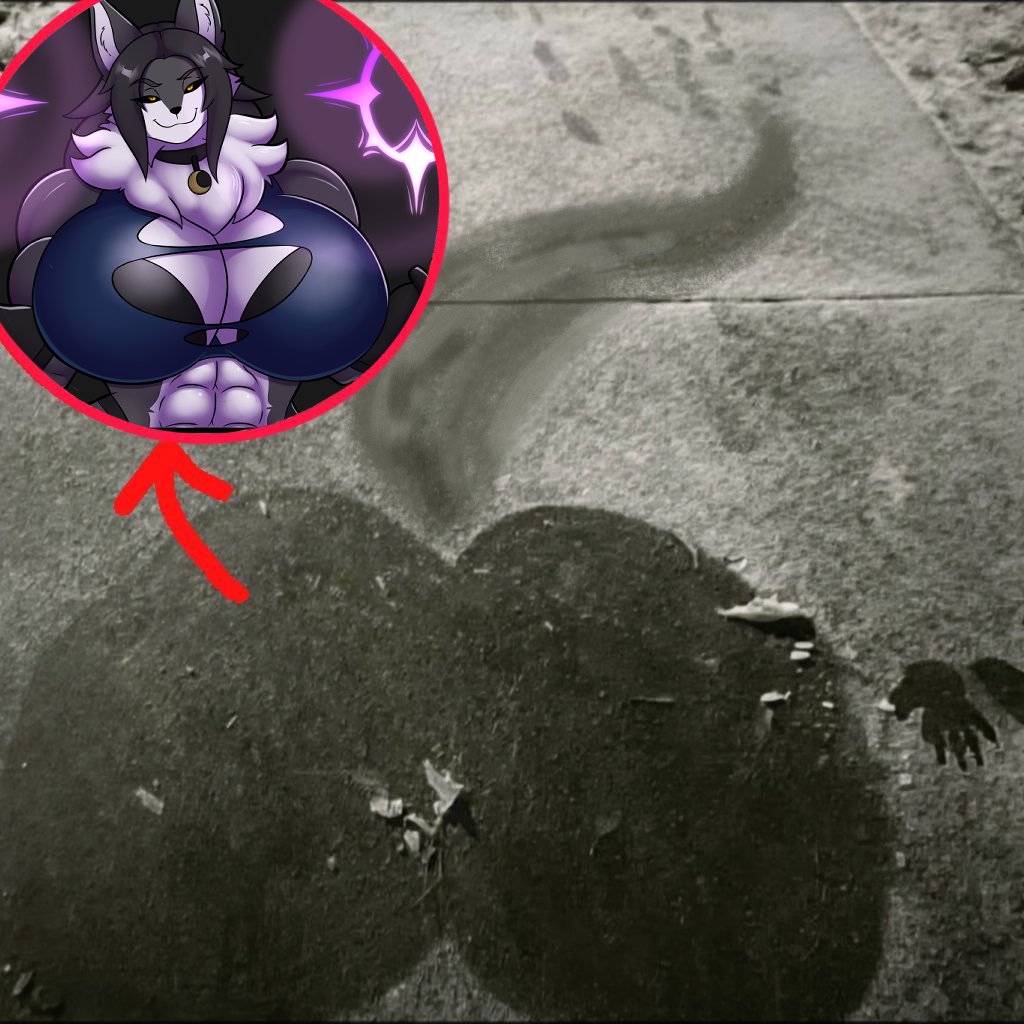 LuniNightVT tweet media