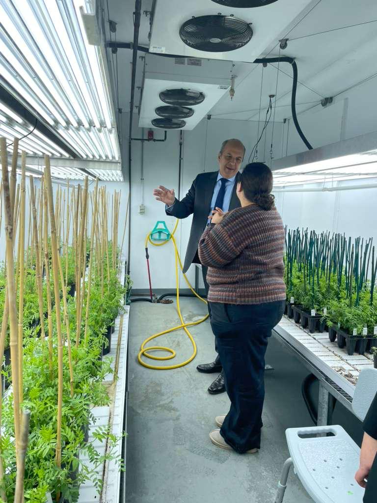 Dominican Embassy in Canada tweet media