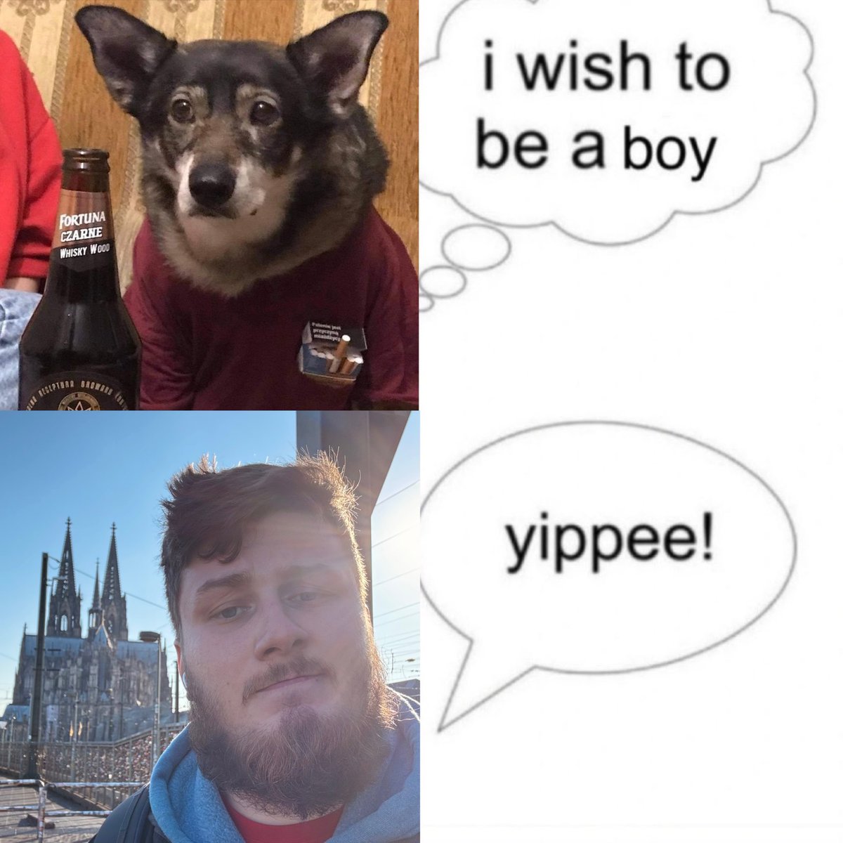 запутавшийся в асоциальных сетях tweet media