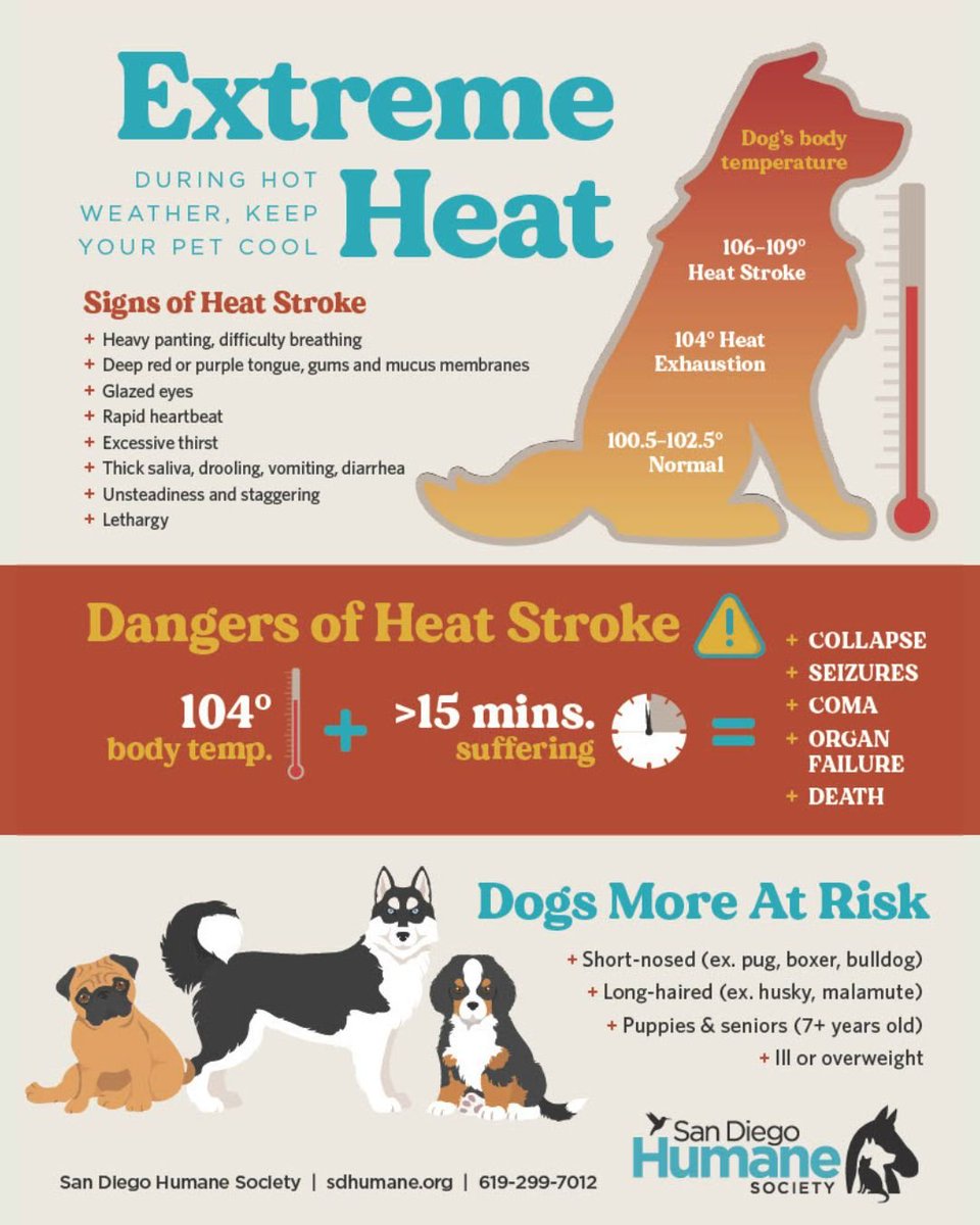 San Diego Humane Society tweet media