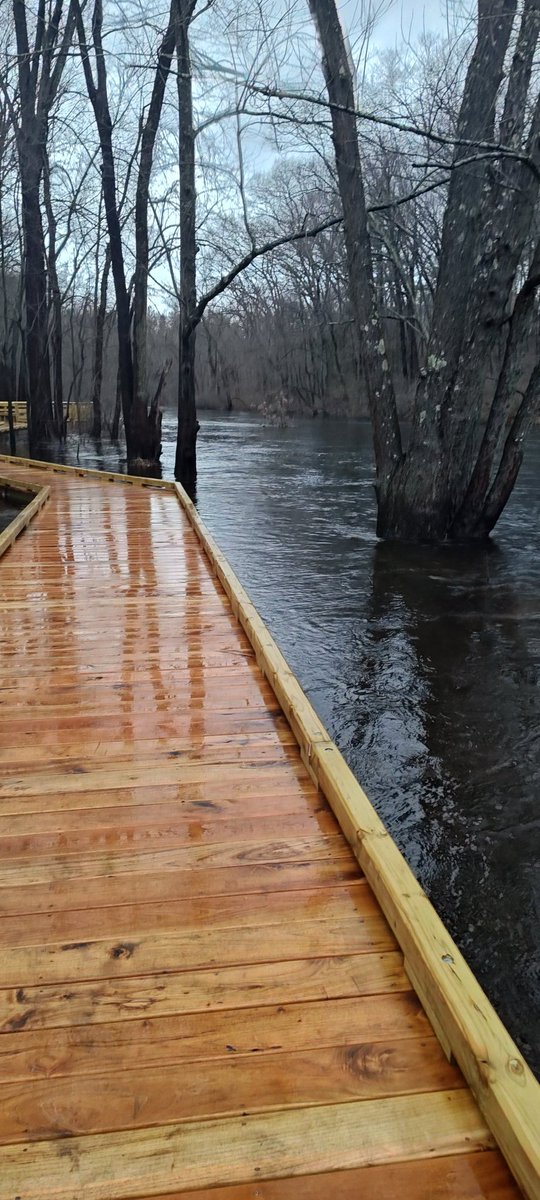 Mechanical Ninja tweet media