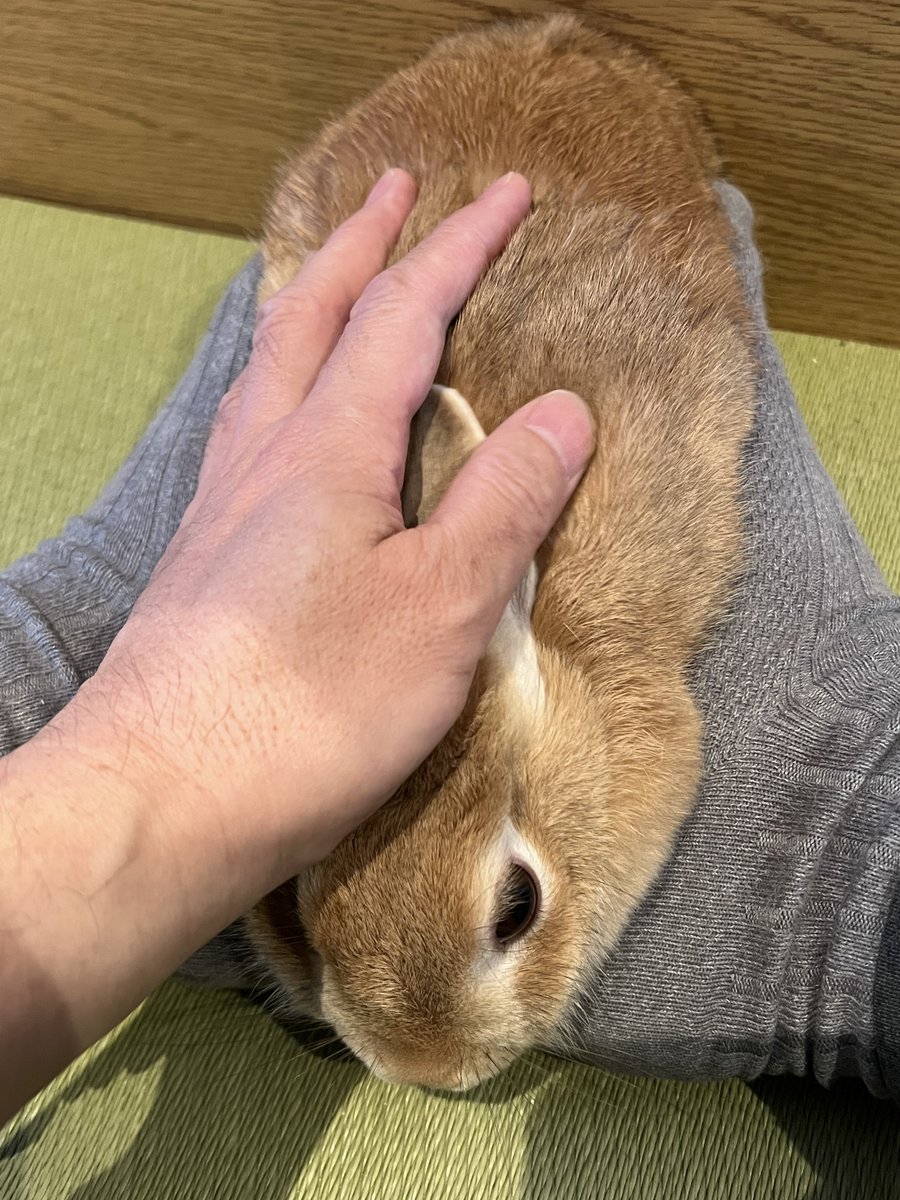 C.S.Model Design WF6-10-08 tweet media