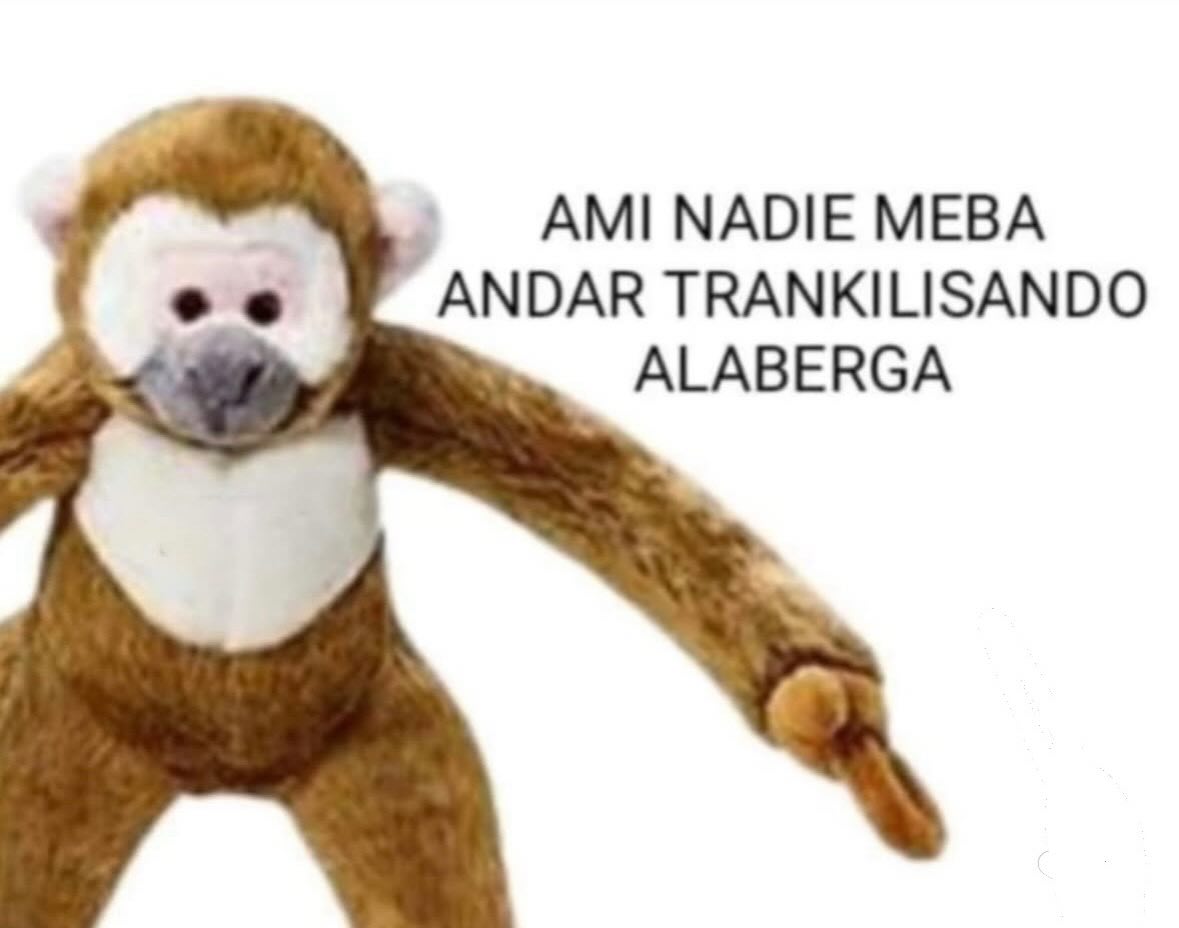 MundoDeBigotes tweet picture