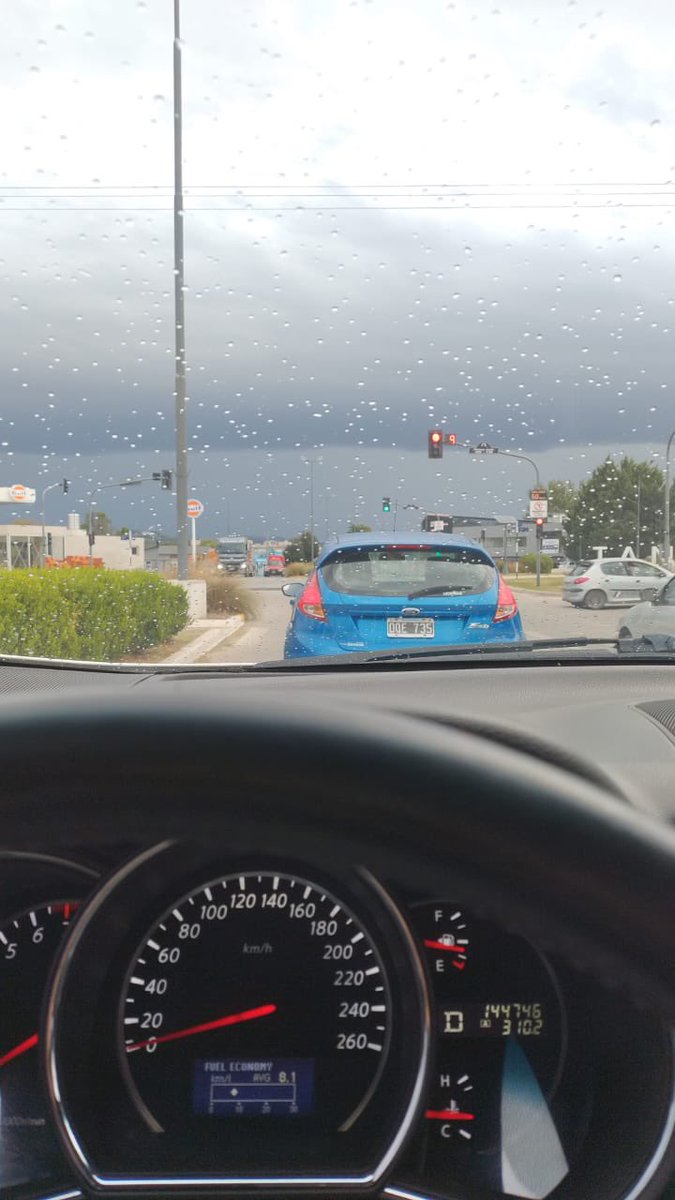 Renato Piermarini tweet media