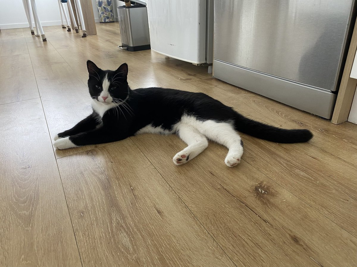 哦，不安定的心啊，你跳得多么厉害，撞在环境的“铁栏”上，想冲到外面更宽大的场地去工作。静下来吧，让神替你安排你的日子吧。今天的忍耐和信靠，就是将来神差你出去做大事业的预备。