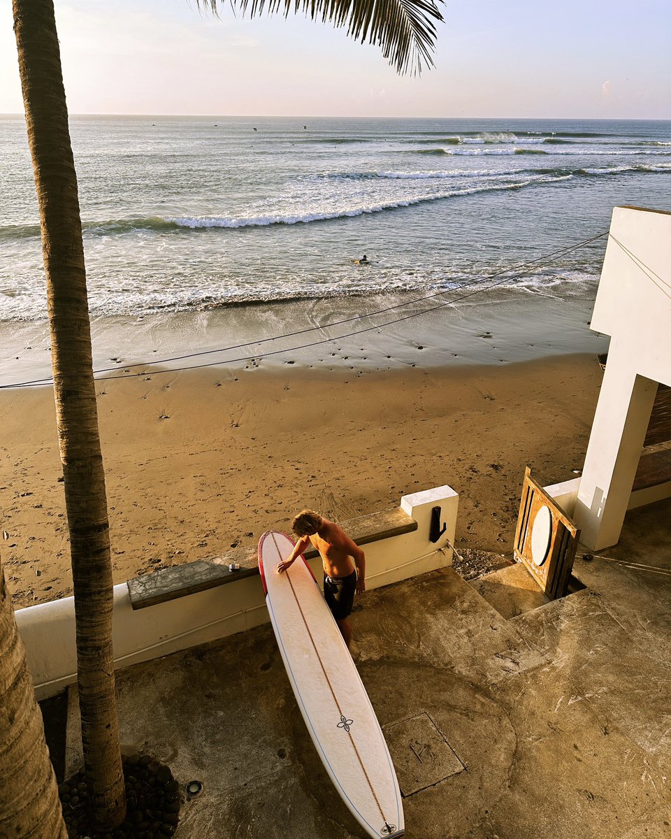 Surf City tweet media