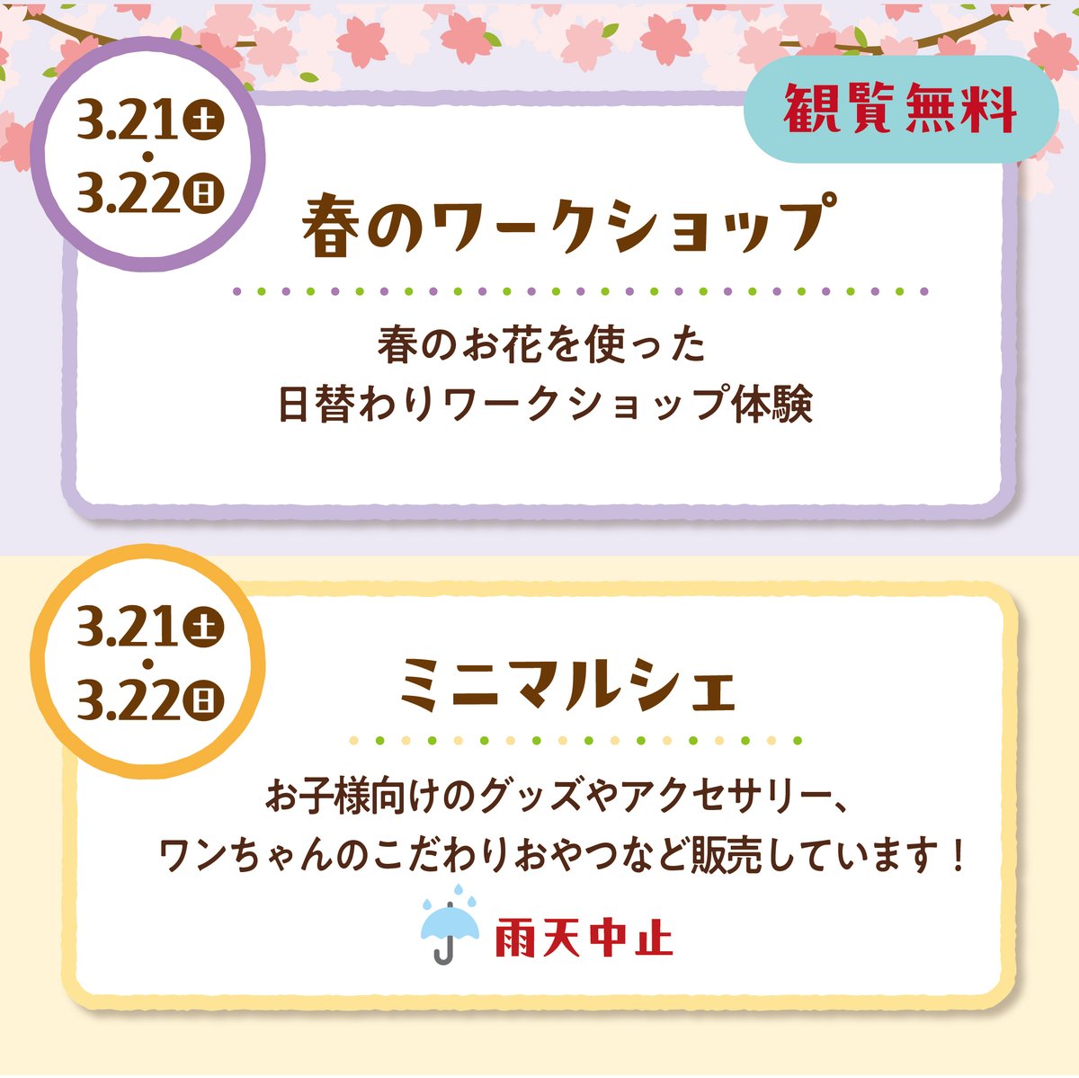 コムズガーデン【公式】 tweet media