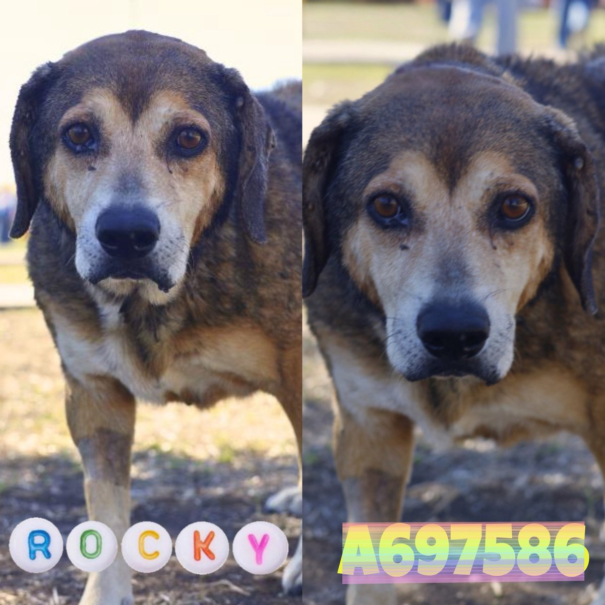 Aurora ⸆⸉ misses Liam ❯❯❯❯ tweet media