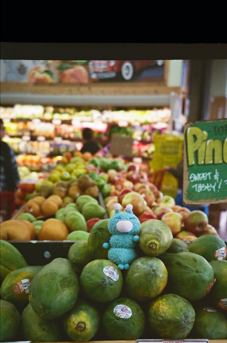 alivia horsley 🐛 - shop open! tweet media