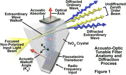 integrated daddy tweet media