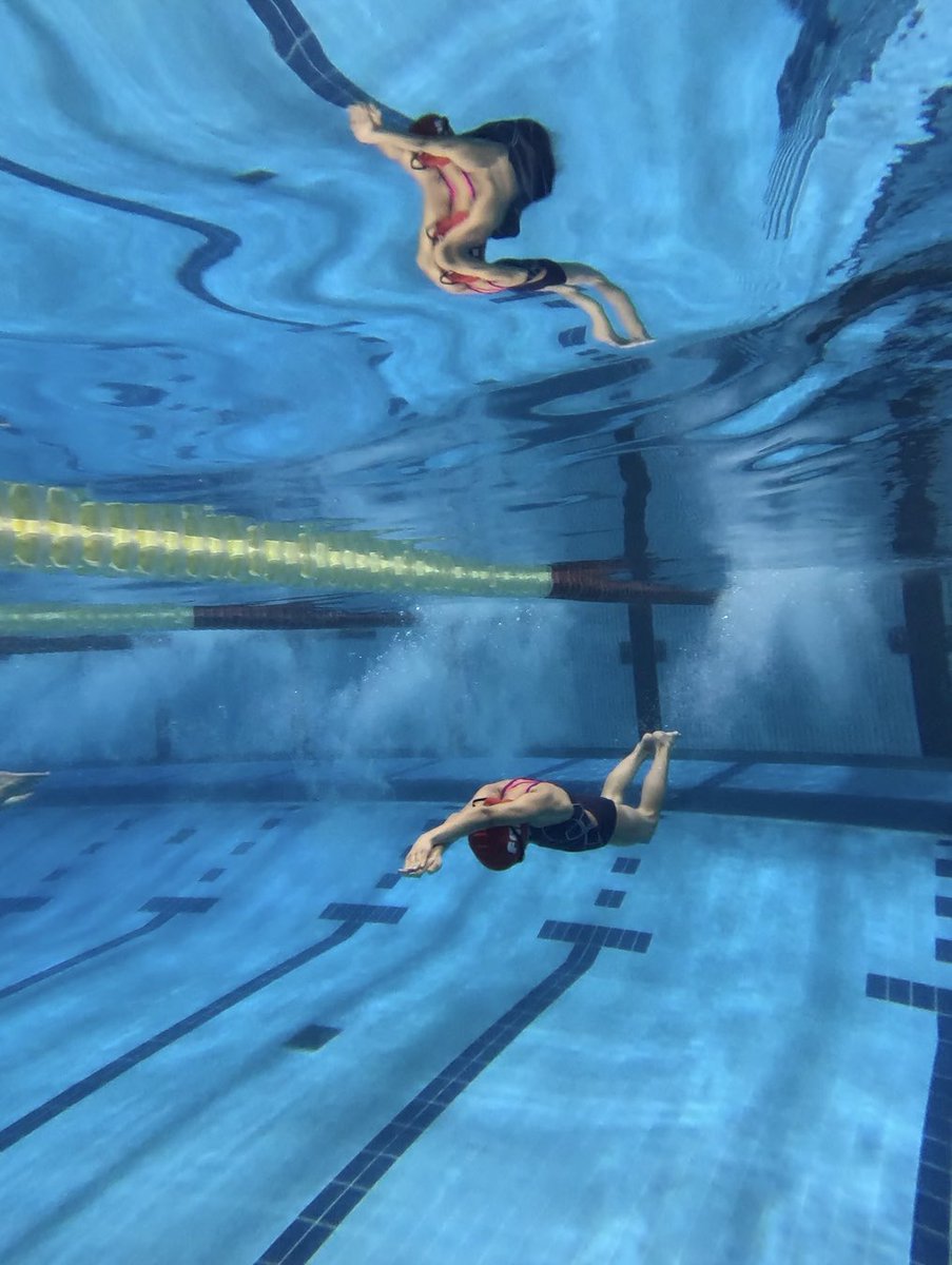 Celebrado el 2º Clinic Benjamín “Nadar rápido, nadar bien” dentro del programa GES en el M-86, centrado en el trabajo técnico de base.

🔗 federacionmadridnatacion.es/index.php/noti…