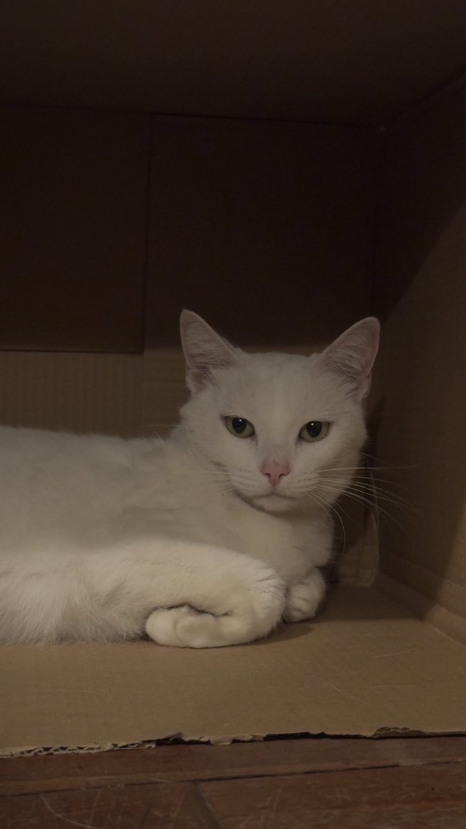 oi gente fiz uma coisa