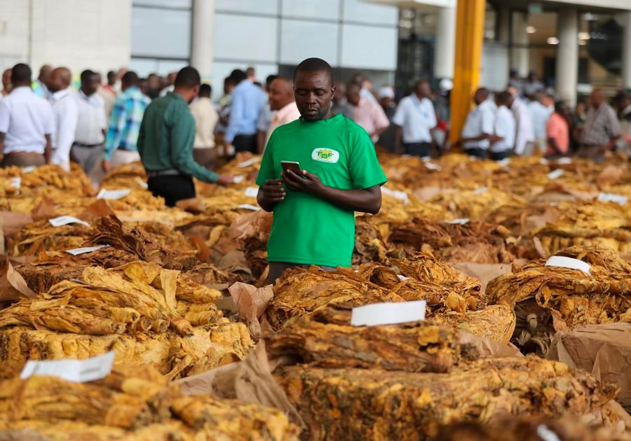 People'sDailyOnline Australia tweet media