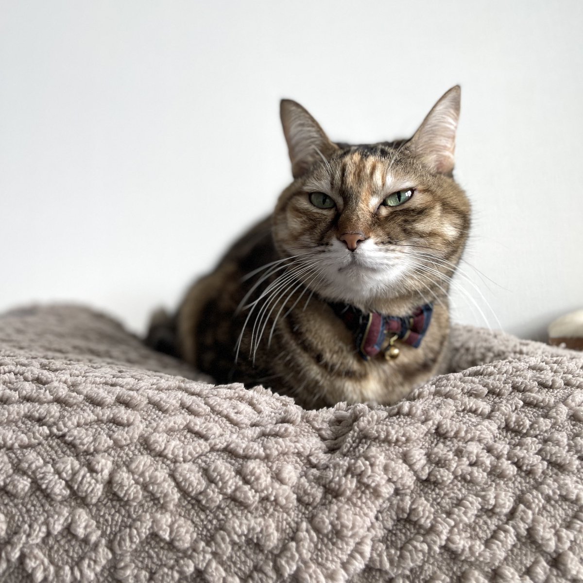 サンデザインアソシエーツ【公式】東京・大阪 中途募集中！ tweet media