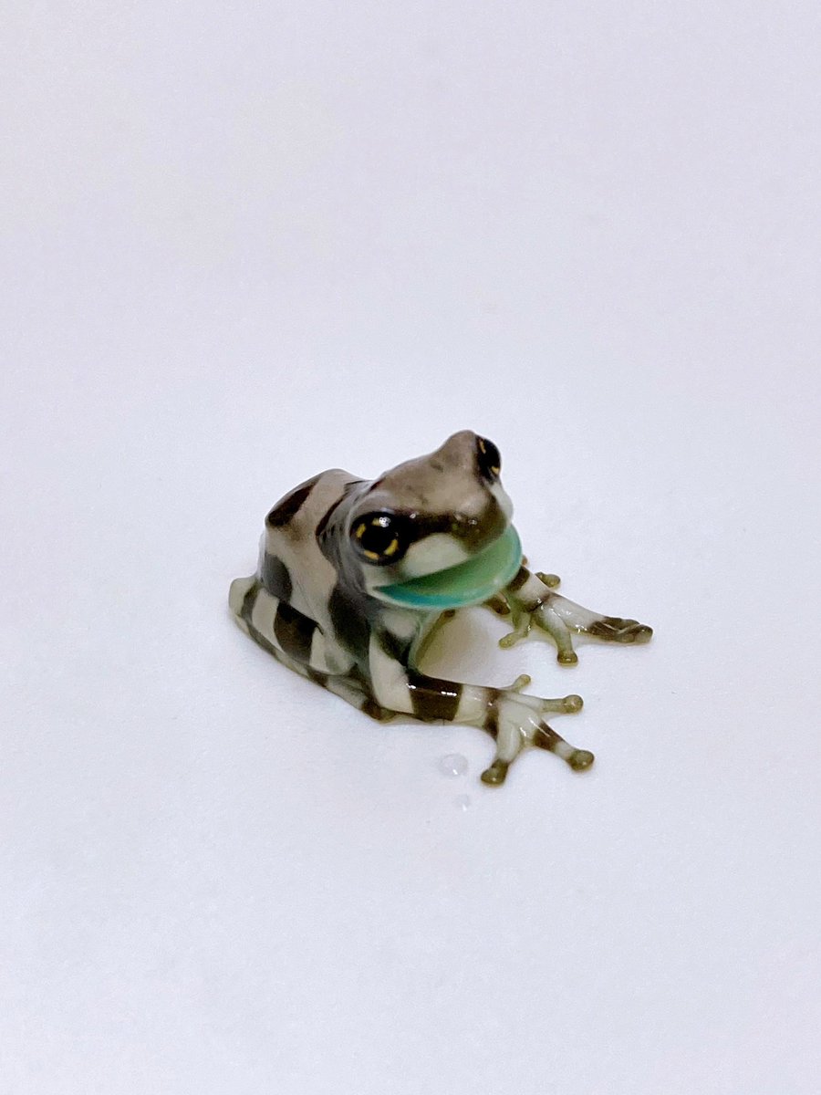 ELMER l エルマー@4/26(日) JH静岡 tweet media