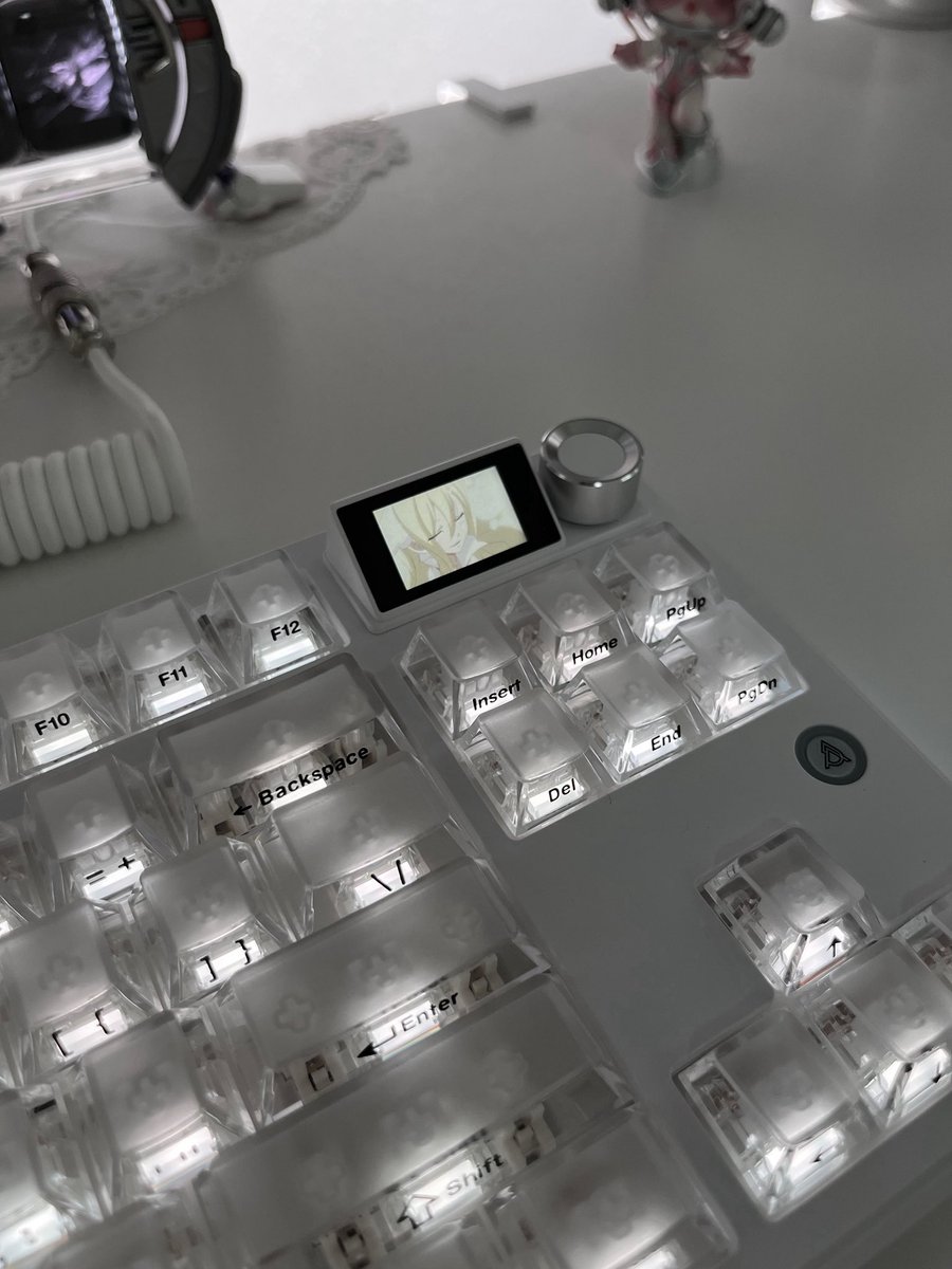 shuying ໒꒱ིྀ༝⁺ tweet media