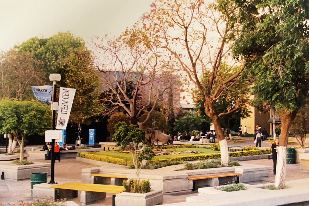 Tec Estado de México tweet media