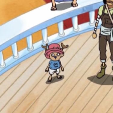 chopper daily tweet media