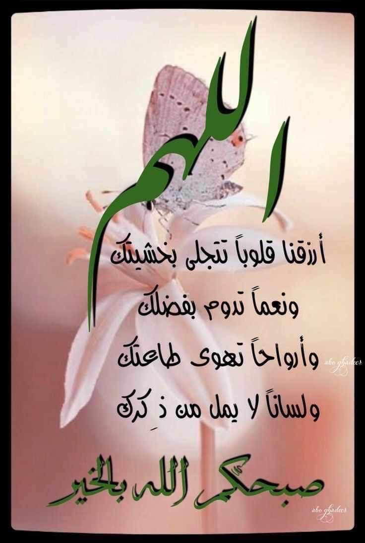 تفداك الروح ياوطن tweet media