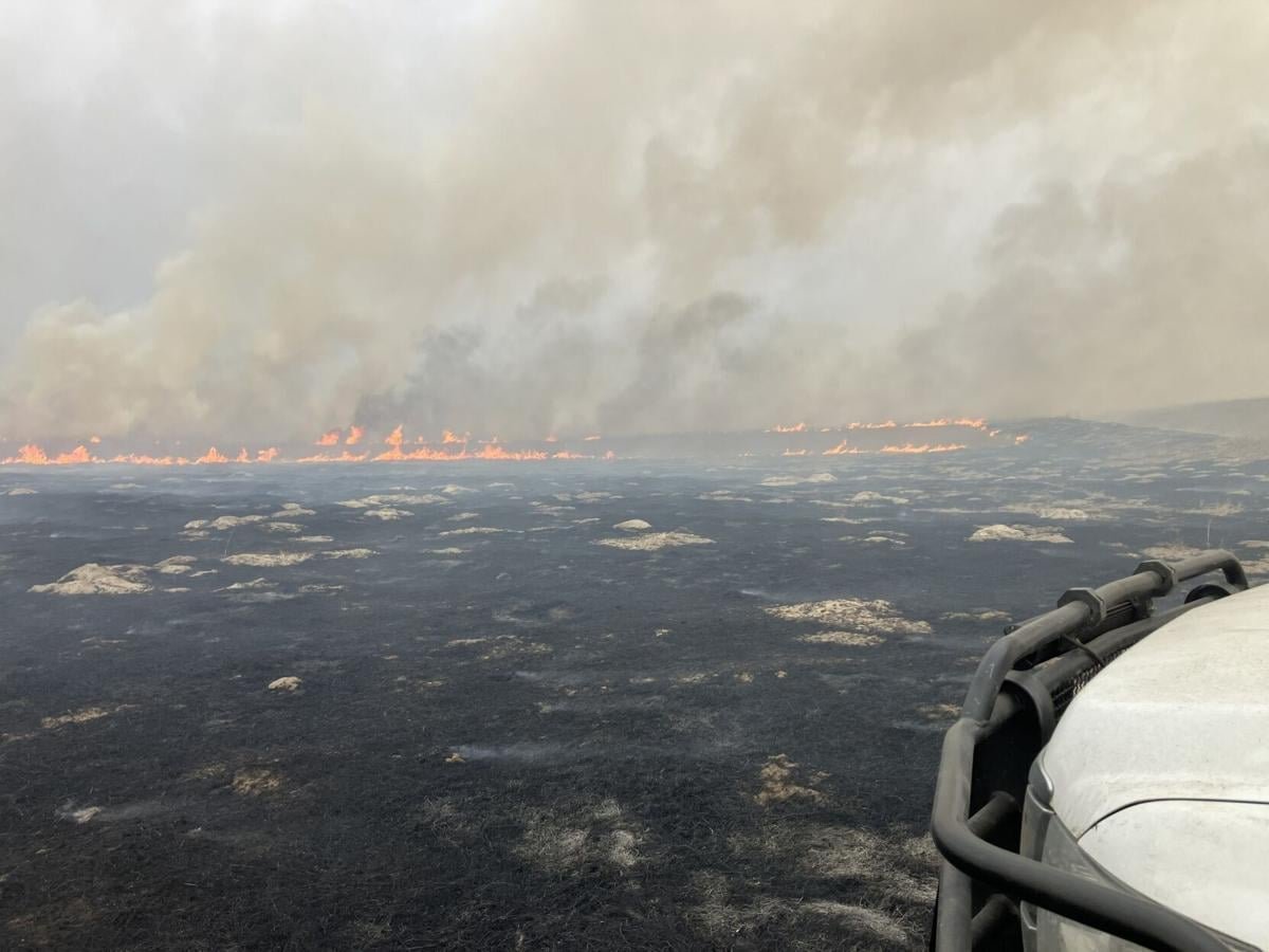USAS_WW1's tweet image. #wildfires #fire #MorrillFire #NEWX: Nebraska has 20+ fires with 700,000 acres burned! Morrill Fire in Morrill County is 572,000+ acres and now one of USA's top 10 fires ever. 1 dead. 🔥🚒🧯🧑‍🚒🚁🙏
↖️ Nebraska State Patrol. 
↗️ @newsbreakApp. 
↙️↘️ facebook.com/Morrillfire.
