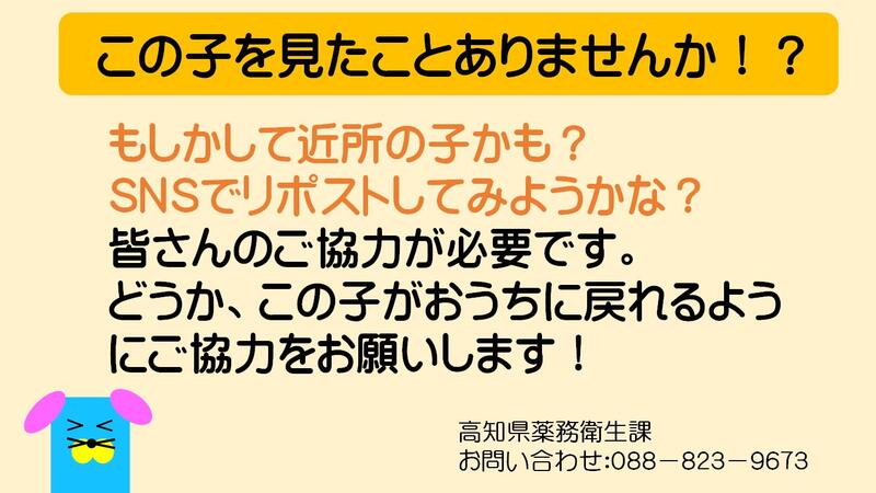 高知県 tweet media