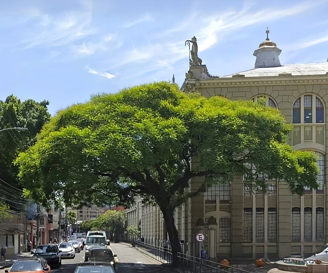 Geopizza Podcast tweet media