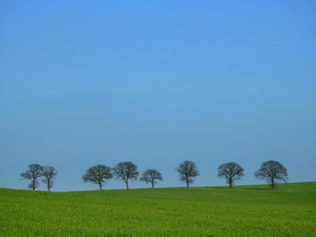 Goodnight you beautiful beings 😁