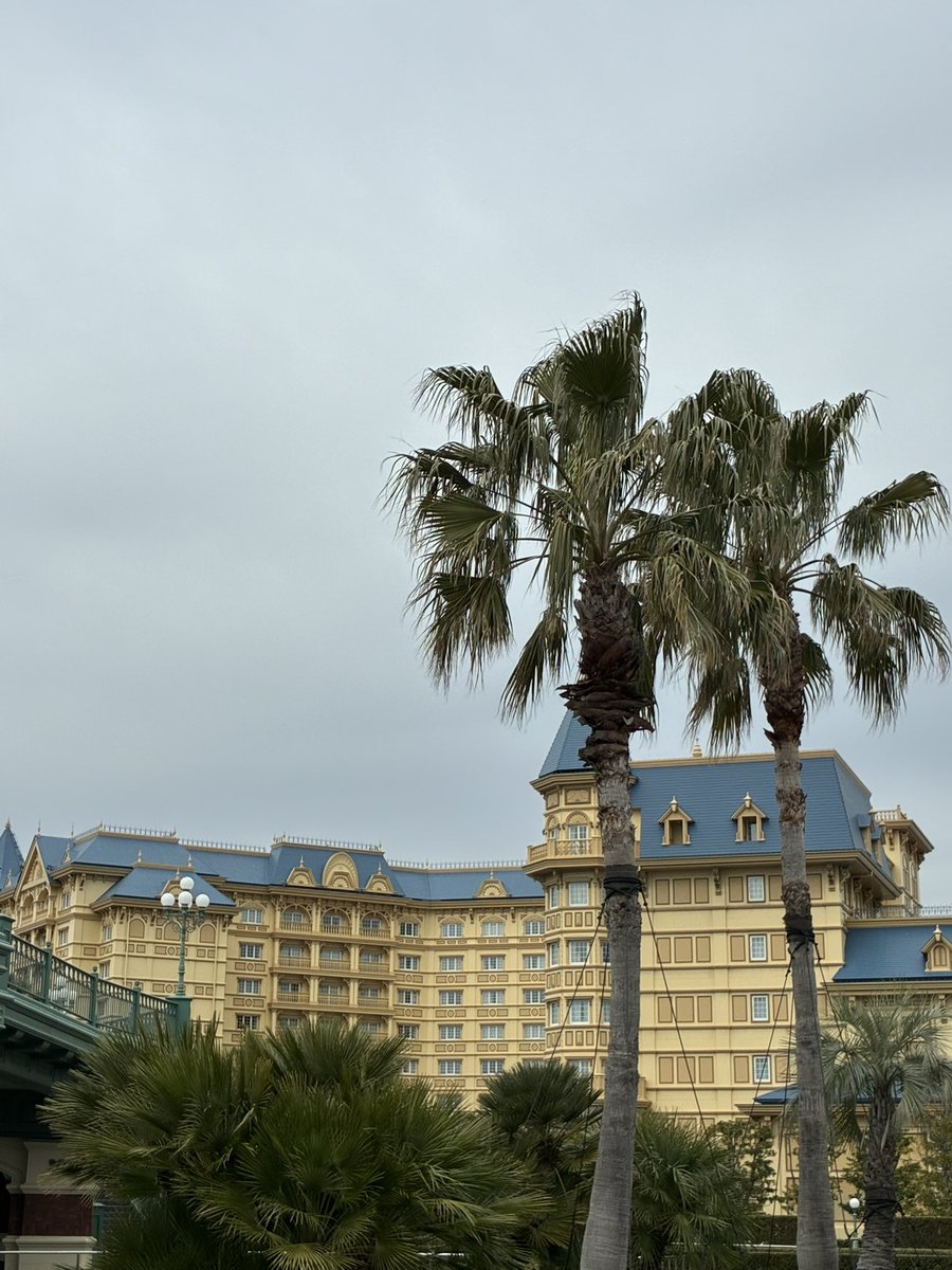 ギャンドラ tweet media