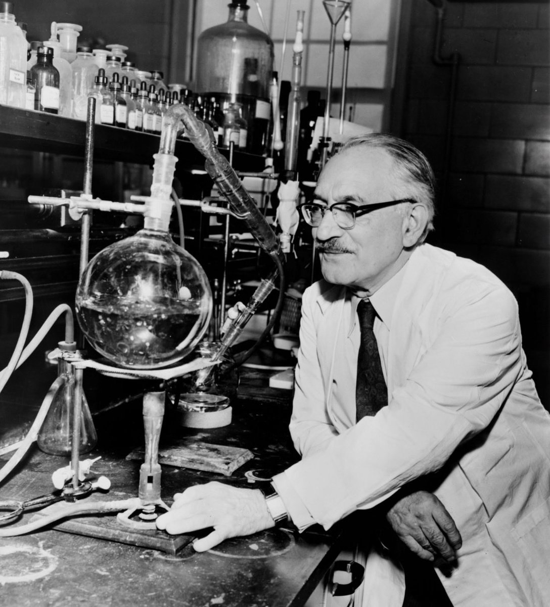 Reuven Goldstein tweet media