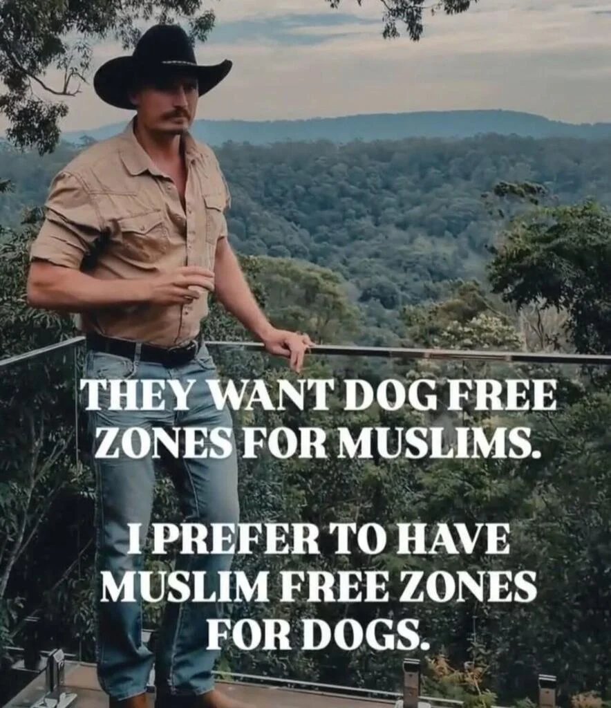 Matt Couch tweet media