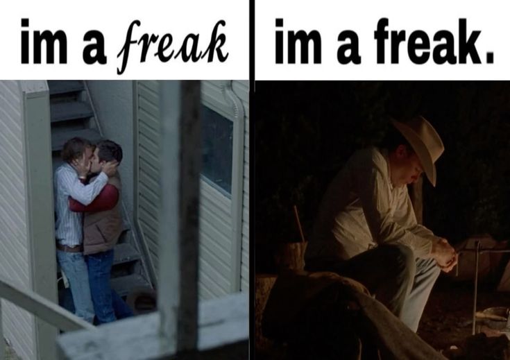 acervo brokeback mountain tweet media