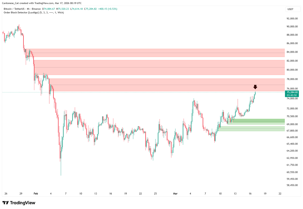 Cantonese Cat 🐱🐈 tweet media