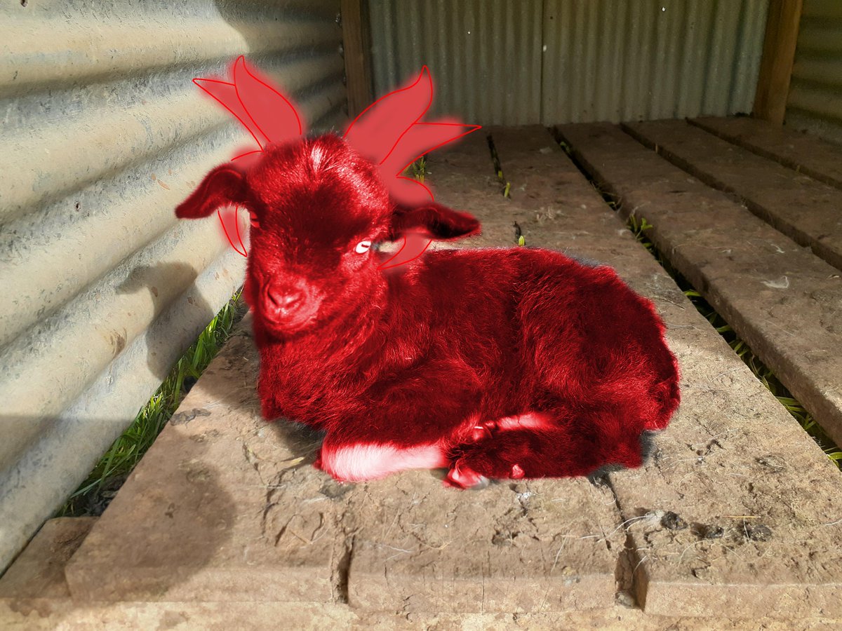 DreddyHypno ❤️ 🔞 tweet media