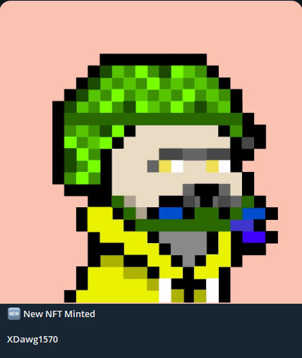 🐾 Black Market Dawgs 🐾 tweet media