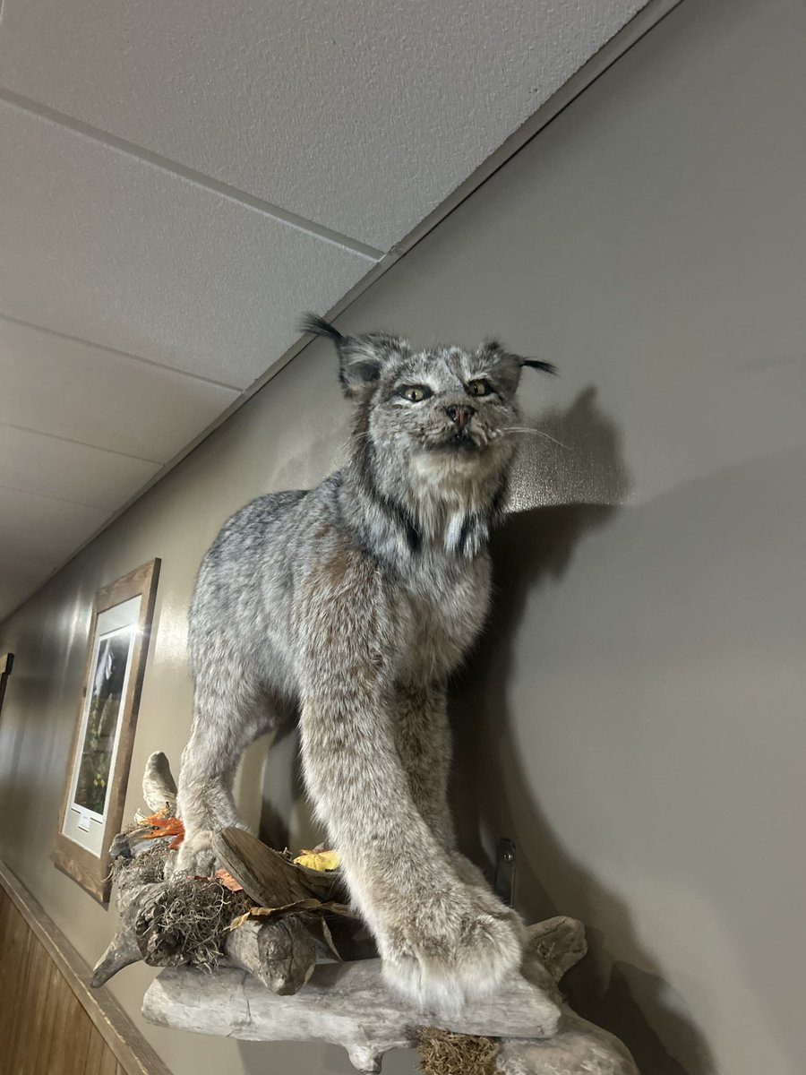 John Nooyen tweet media