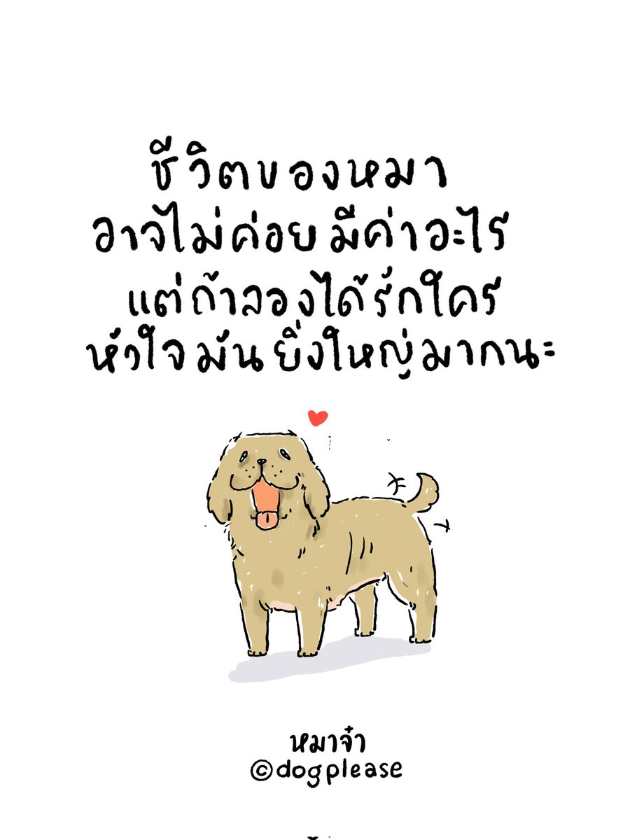 หมาจ๋า tweet media