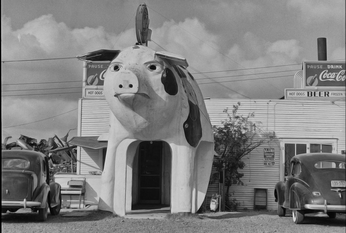 Traces of Texas tweet media