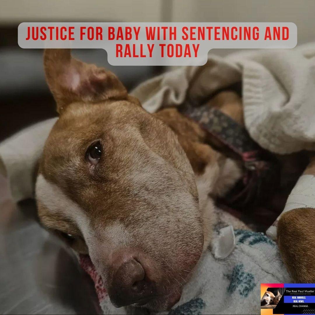 Paul Mueller tweet media