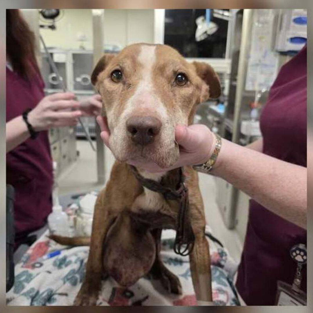 Paul Mueller tweet media