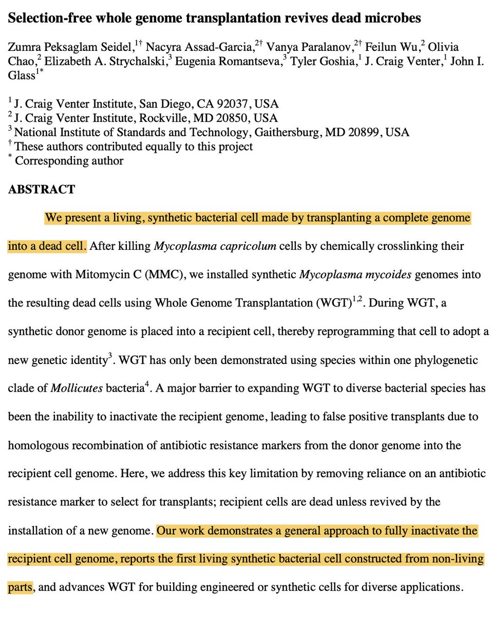 Niko McCarty. tweet media