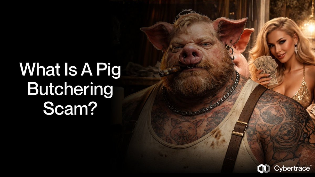 Cybertrace tweet media