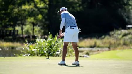 Jason Carmichael tweet media