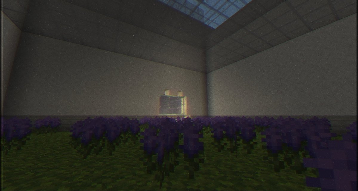 WarrenSMP tweet media