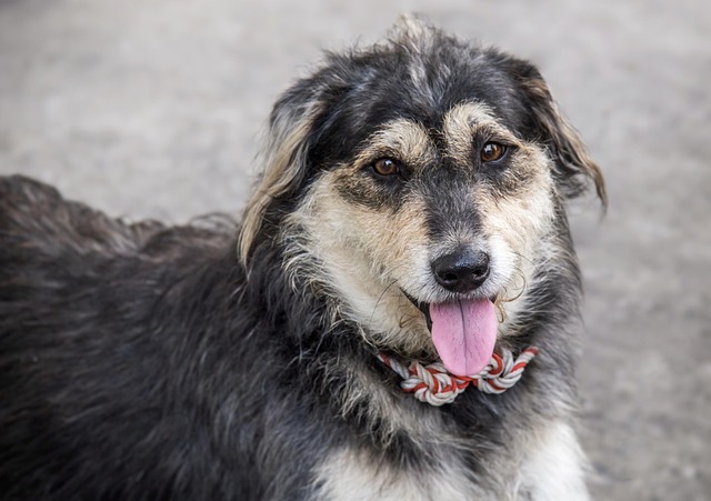 Christine Sun tweet media